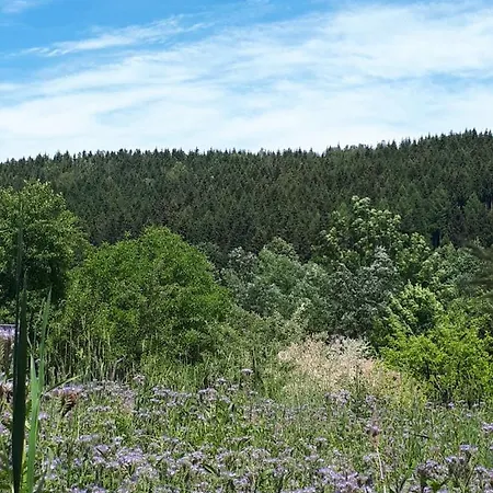 Lawendowy Zakatek - Agroturystyka Lewin Klodzki Exteriér fotografie