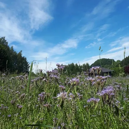 Lawendowy Zakatek - Agroturystyka Lewin Klodzki Exteriér fotografie