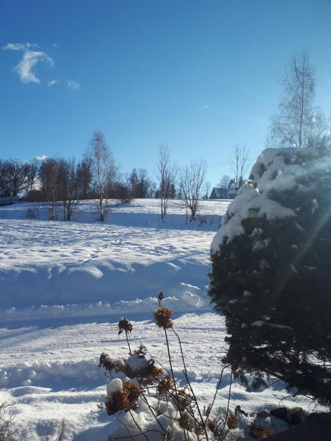 Lawendowy Zakatek -