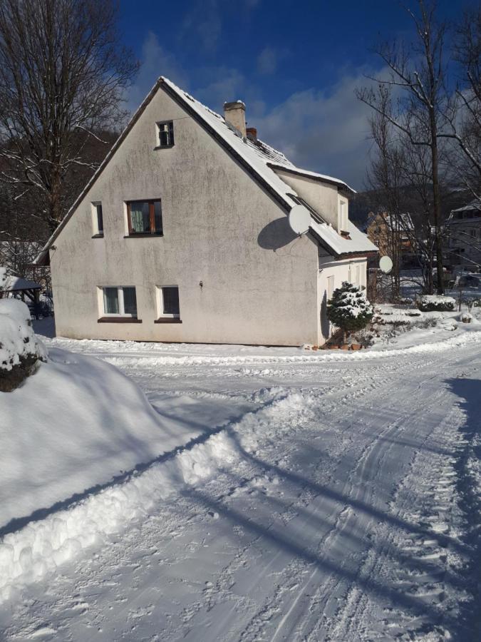 Lawendowy Zakatek -